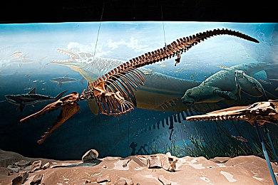 复古像素风格回合制战术冒险游戏《雅典娜危机》现已正式推出并获得好评